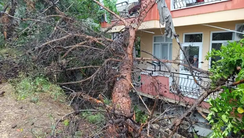 Yağmurların Ardından Korkutan Çökmeler: Bina Devrildi