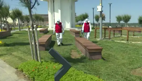 Kene Görülme Sıklığı Arttı: Kamu Alanlarında Acil İlaçlama Seferberliği