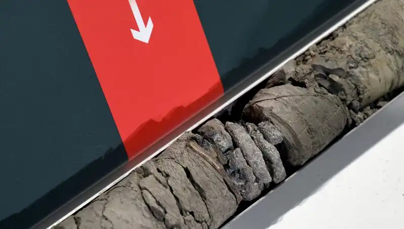 Müze Otoparkında Bulunan Dinozor Fosili, Bilim Dünyasını Sarsıyor!