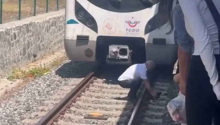 İstanbul'da Makinistin Kahramanlığı: Marmaray'ı Raylardaki Kediyi Kurtarmak İçin Durdurdu
