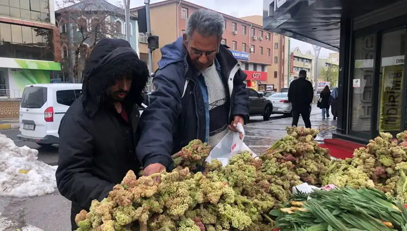 Kendiliğinden Yetişen Kanser İlaçları: Vitamin Deposunun Sırrı