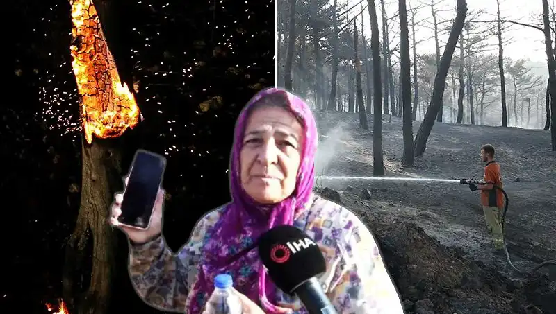 Çanakkale Orman Yangınları Kontrol Altına Alındı: Kayıplar ve Hayatta Kalma Mücadelesi