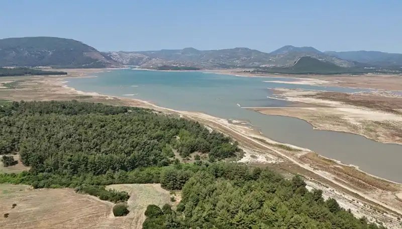 İzmir'de Korkutan Veri: Geçen Yıla Göre Oranı Yüzde 50 Düştü