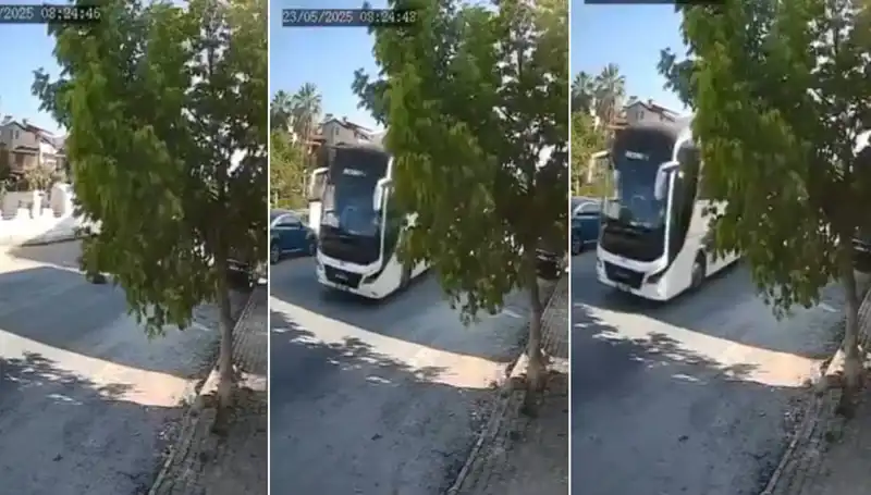 Yolda Yatan Köpeği Ezip Giden Sürücü, Hayvanseverleri İsyan Ettirdi!