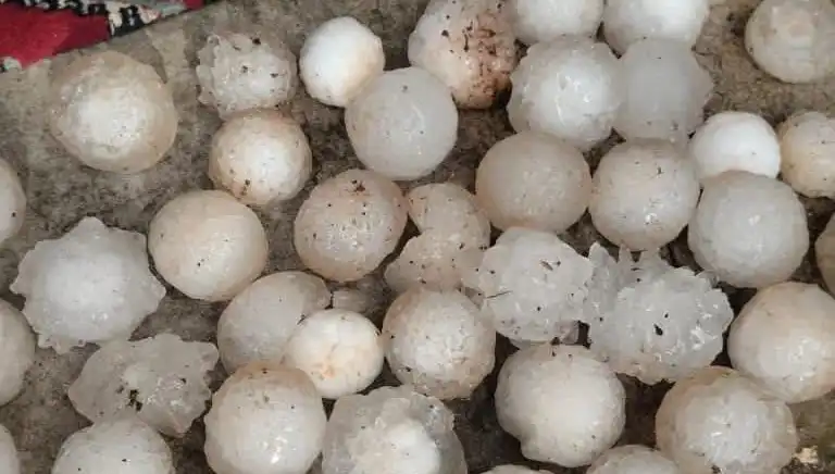 Şanlıurfa’da Kar Topu Büyüklüğünde Dolu Yağışı Şok Etti!