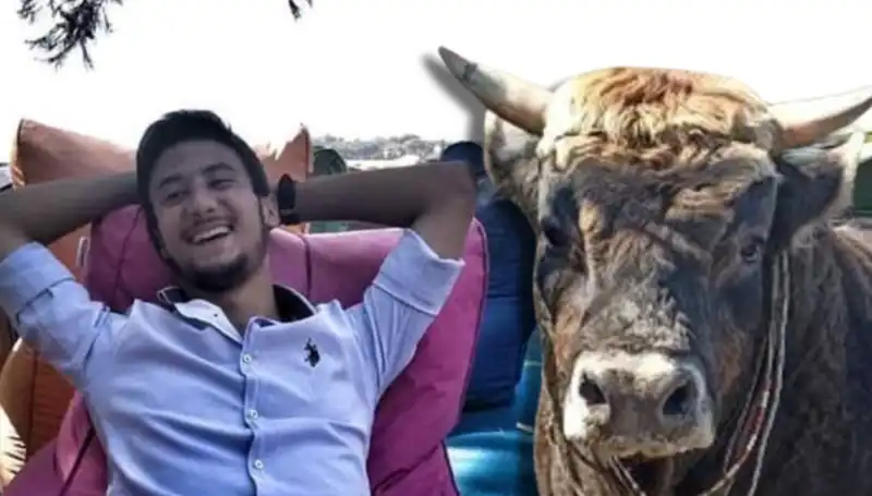 Aydın’da Güreş Boğası Can Alarak Tüm Şehirde Şok Etkisi Yarattı