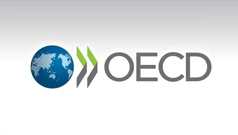Türkiye'nin Ekonomik Geleceği: OECD Büyüme Tahminleri Açıklandı