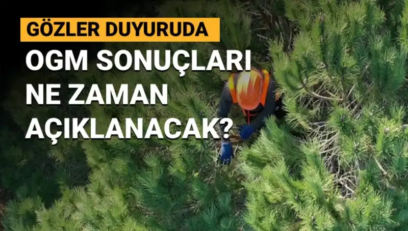 OGM Personel Alımı Duyurusu: 3 Bin 477 Sözleşmeli Başvurunun Sonucu Ne Zaman Açıklanacak?