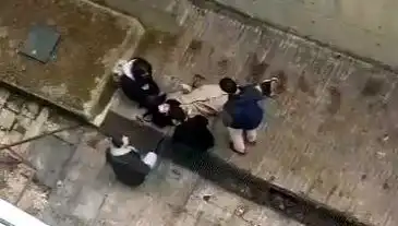 Üniversite Kampüsünde Şok Edici Köpek Paniği: Genç Kız Betona Düştü