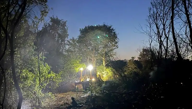 Edirne Orman Yangınında Kahramanlar Görev Başındaydı: Yangın Söndürüldü!