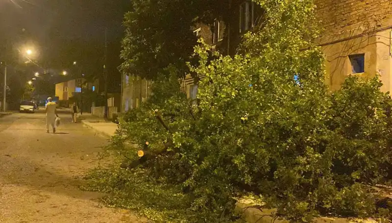 Karabük’ü Vuran Fırtına: Can ve Mal Kaybı Olmadı mı?
