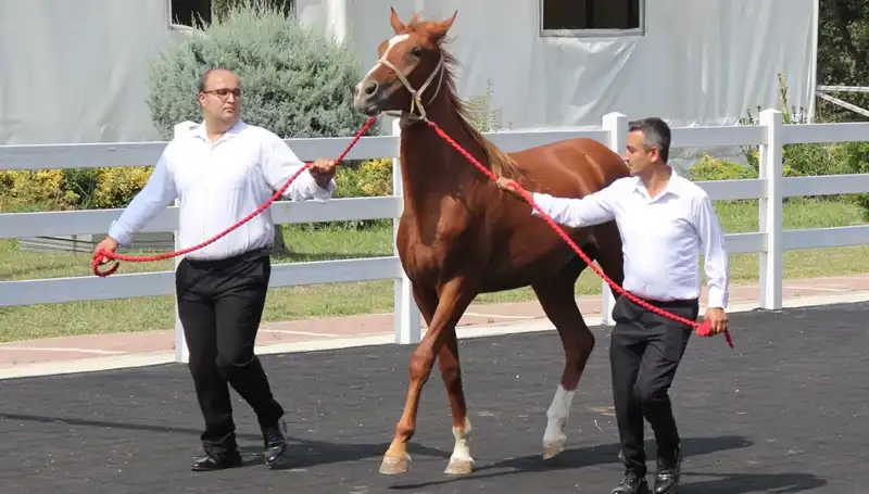 Türkiye’nin En Büyük Barajında Taşkın Rekoru Kırıldı!