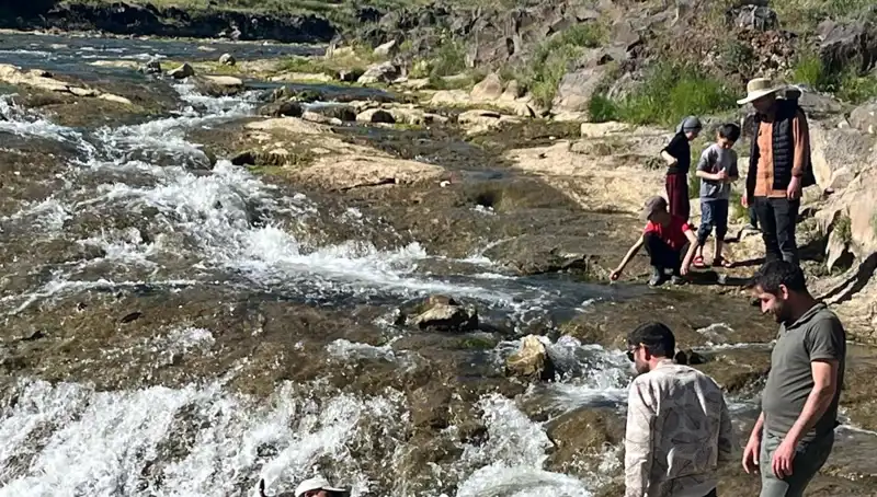 İnci Kefalinin Göçü: Turistlerin Akın Akın Geldiği Doğal Bir Fenomen