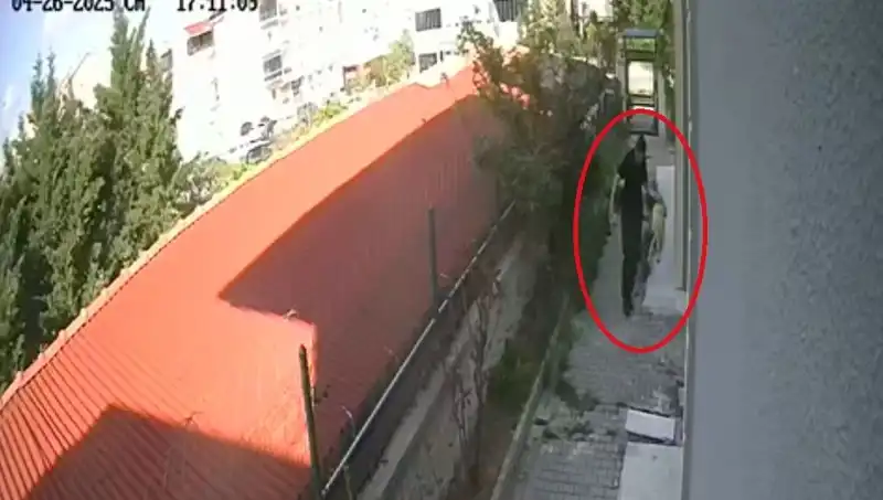 Veteriner Doktorun Korkunç İfadesi: Evdeki Köpekler Neden Parçalandı?