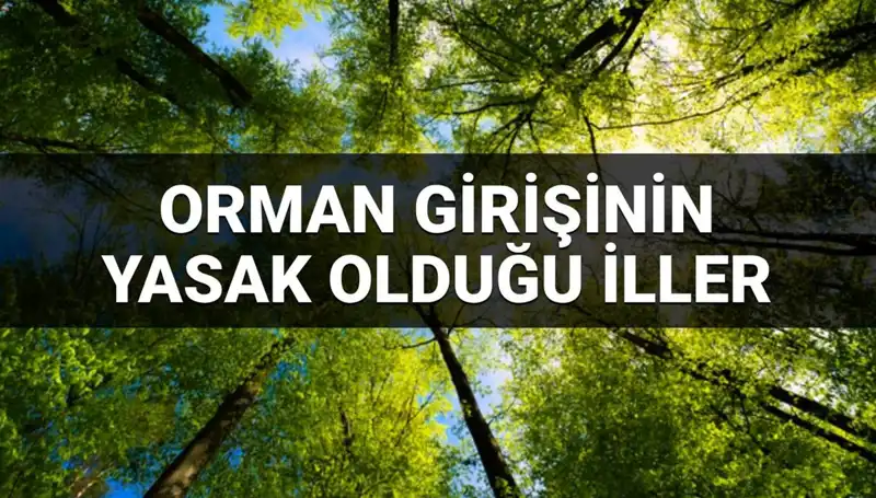 2025 Yılı İçin Türkiye'de Ormana Girişi Yasak Olan İller Listesi